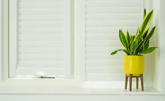 Modern white window blinds with a decorative potted plant on the windowsill.